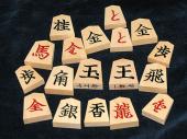 【Hidetchi's YouTube Pieces】 Carved Chinese-tsuge Pieces by Master Yamagami (1-kanji, red promotion)